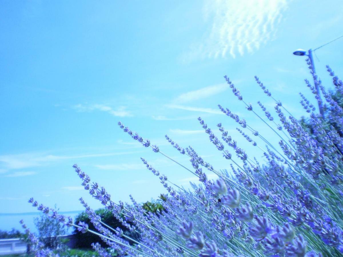 Apartman Lavanda - Villa Antonio オパティヤ エクステリア 写真
